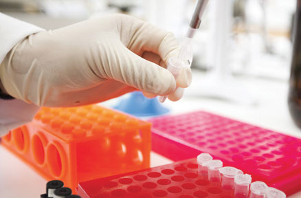 For Researchers Research Funding