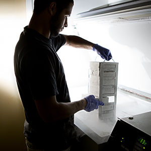 NR-6-R cells