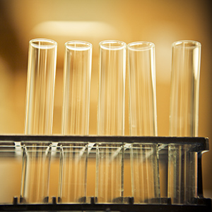 Bone Allograft Coating