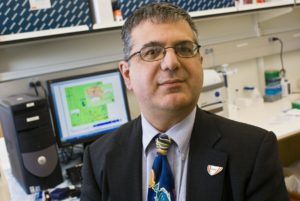Stephen Bonasera, M.D.