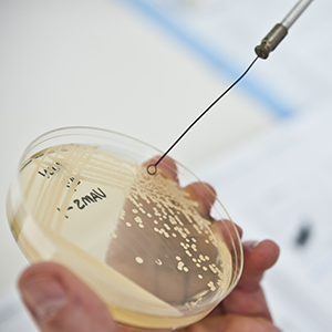 Targeted biofilm prevention