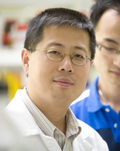 Dong Wang, Ph.D.