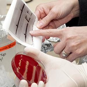 Macrophage targeted nanoparticles