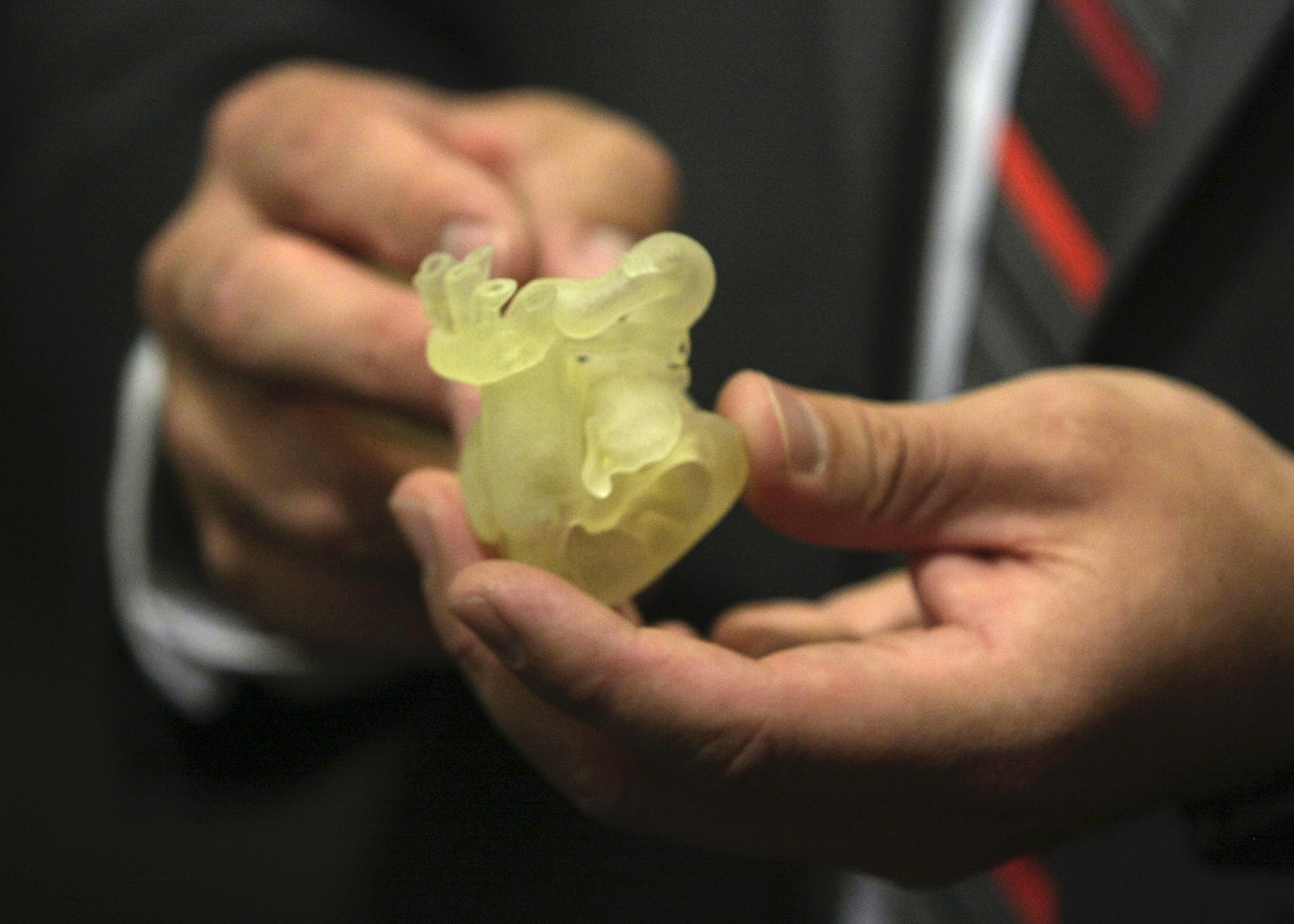 UNeMed's annual Innovation Week continued Oct. 4 with a panel discussion about the biomedical applications in healthcare. Above, R. Gabe Linke, the 3D printing coordinator at Children's Hospital and Medical Center in Omaha, shows guests a 3D-printed model of a newborn's heart. Surgeons used the model to study abnormalities, and planned an eventually successful procedure to correct the problems.