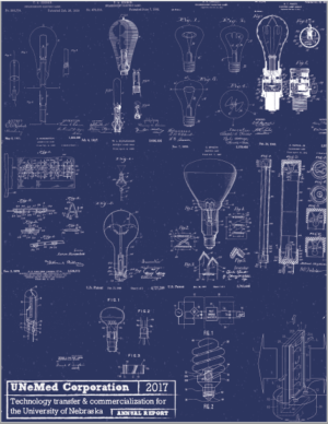 2017 Annual Report