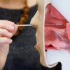 Naso/Oropharyngeal Swab Specimen Trainer - Image 3