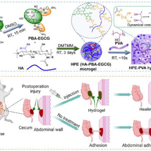 Adhesion Preventing Hydrogel